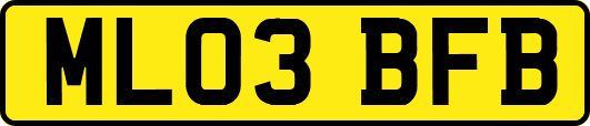 ML03BFB