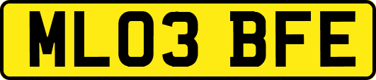 ML03BFE