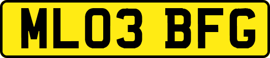 ML03BFG