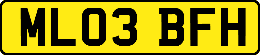ML03BFH