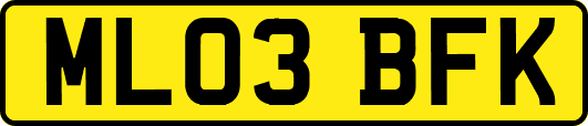 ML03BFK