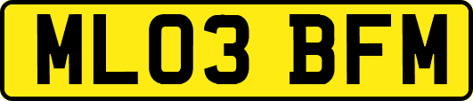 ML03BFM