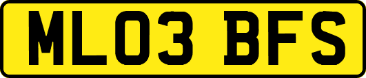 ML03BFS