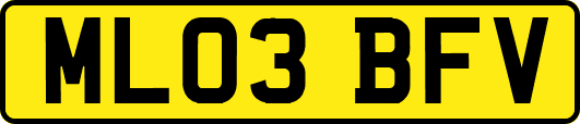 ML03BFV