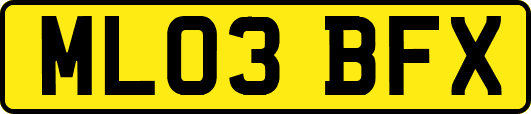 ML03BFX
