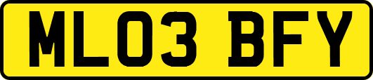 ML03BFY