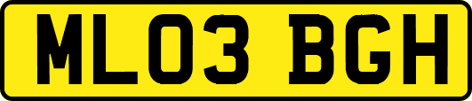 ML03BGH