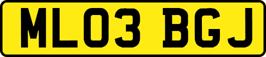 ML03BGJ