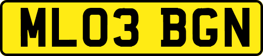 ML03BGN