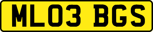 ML03BGS