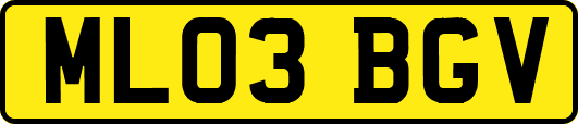 ML03BGV
