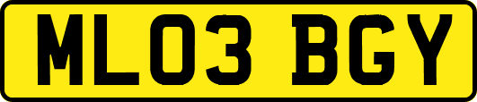 ML03BGY