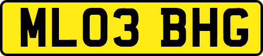 ML03BHG
