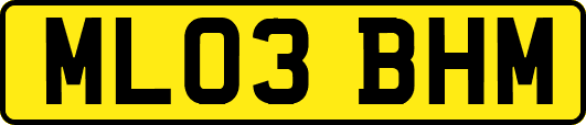 ML03BHM