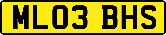 ML03BHS