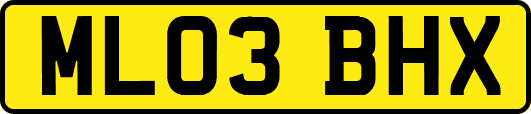 ML03BHX
