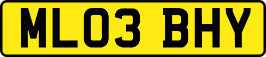 ML03BHY