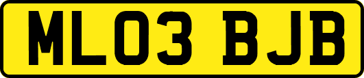 ML03BJB
