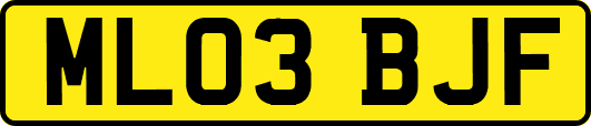 ML03BJF