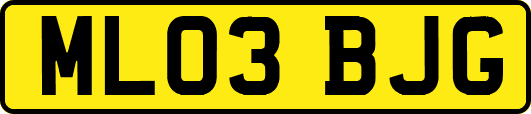ML03BJG