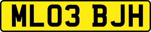 ML03BJH