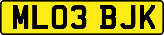 ML03BJK