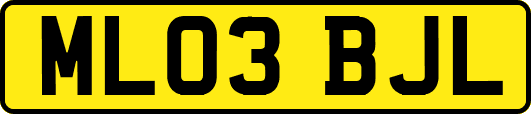 ML03BJL