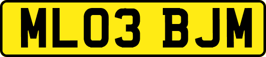 ML03BJM