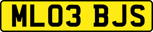 ML03BJS