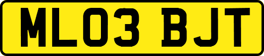 ML03BJT