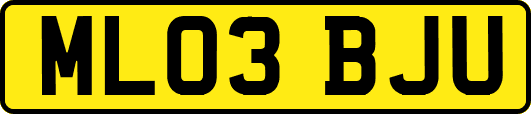 ML03BJU
