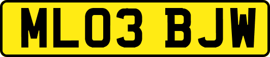 ML03BJW