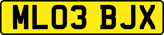 ML03BJX