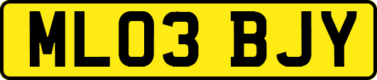 ML03BJY
