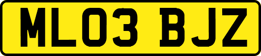 ML03BJZ