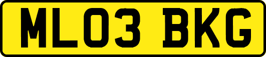 ML03BKG