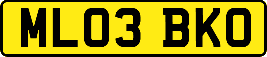 ML03BKO