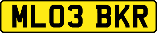 ML03BKR