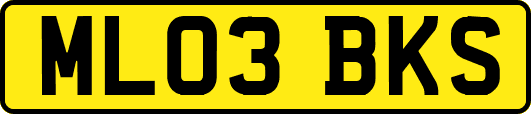 ML03BKS