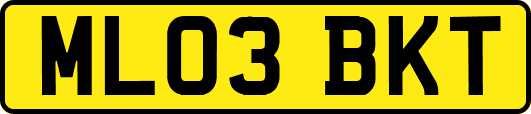ML03BKT