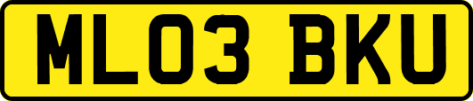 ML03BKU