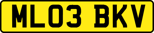 ML03BKV