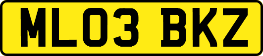 ML03BKZ