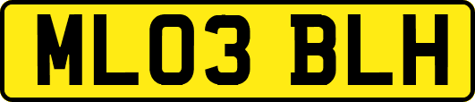 ML03BLH