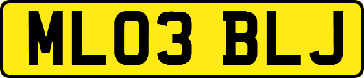ML03BLJ