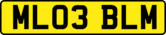 ML03BLM