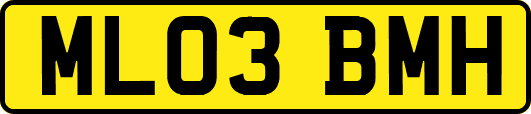 ML03BMH