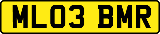 ML03BMR
