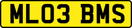 ML03BMS