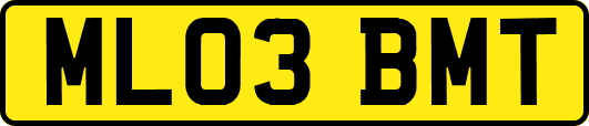 ML03BMT